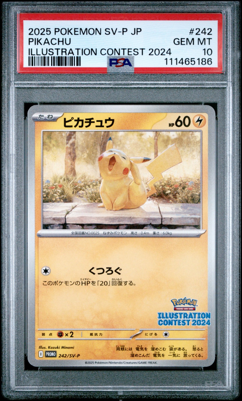 2025 POKEMON JAPANESE SV-P PROMO #242 PIKACHU ILLUSTRATION CONTEST 2024
